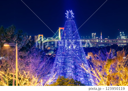 イルミネーションのお台場　東京夜景 123950119