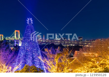 イルミネーションのお台場 東京夜景 イルミネーションのお台場 東京夜景 123950120