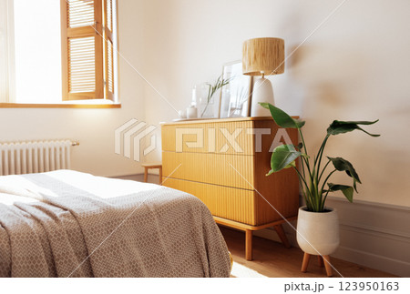 A laconic wooden chest of drawers with a lamp and household items in the bedroom. Modern and cozy interior. A large pot with a houseplant. A laconic wooden chest of drawers with a lamp and household items in the bedroom. Modern and cozy interior. A large pot with a houseplant. 123950163