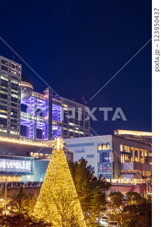 イルミネーションのお台場　東京夜景 123950437