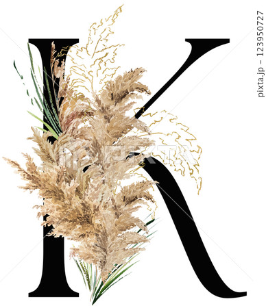 Black letter K with watercolor biege and golden dried pampas grass, tropical wedding illustration Black letter K with watercolor biege and golden dried pampas grass, tropical wedding illustration 123950727