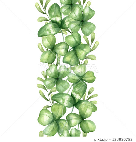 Watercolor clover leaf and meadow herbs vertical seamless banner isolated background. Green wildflower leaves illustration for St. Patrick day textile, holiday package, wrapping paper, kitchen canvas Watercolor clover leaf and meadow herbs vertical seamless banner isolated background. Green wildflower leaves illustration for St. Patrick day textile, holiday package, wrapping paper, kitchen canvas 123950782