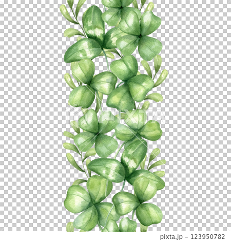 Watercolor clover leaf and meadow herbs vertical seamless banner isolated background. Green wildflower leaves illustration for St. Patrick day textile, holiday package, wrapping paper, kitchen canvas 123950782