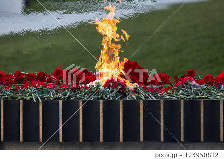 Eternal flame burning brightly with red flower 123950812