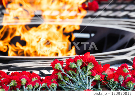 Close up photo of Eternal flame burning brightly with red flowers Close up photo of Eternal flame burning brightly with red flowers 123950815