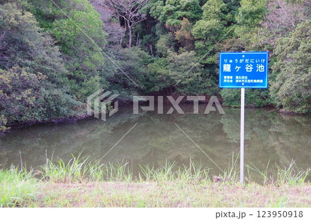 兵庫県洲本市　龍ヶ谷池 123950918