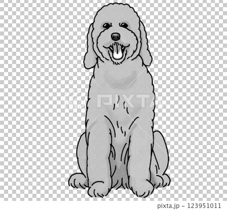 Standard poodle simple dog illustration 123951011