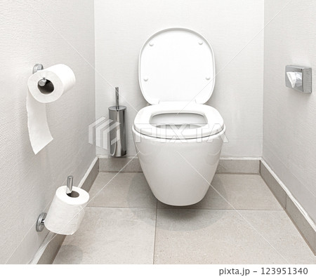 White ceramic toilet bowl with open lid in modern bathroom White ceramic toilet bowl with open lid in modern bathroom 123951340