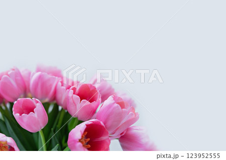 Mothers day, Valentines Day, Birthday celebration concept. Greeting card. Beautiful Bouquet of pink delicate tulips. Copy space for text, top view. Spring background. March 8, International Womens Day Mothers day, Valentines Day, Birthday celebration concept. Greeting card. Beautiful Bouquet of pink delicate tulips. Copy space for text, top view. Spring background. March 8, International Womens Day 123952555