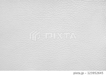 Texture of genuine leather or artificial synthetic leatherette pastel white color background 123952645