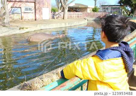 動物園で遊ぶ子供 動物園で遊ぶ子供 123953488