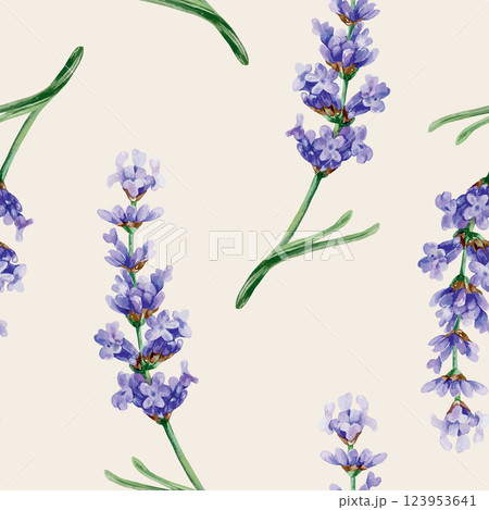 Lavender flowers seamless pattern, watercolor. Hand drawn vector illustration. For the design of wrapping paper, textile, covers, fabric, wallpaper, banners. Lavender flowers seamless pattern, watercolor. Hand drawn vector illustration. For the design of wrapping paper, textile, covers, fabric, wallpaper, banners. 123953641