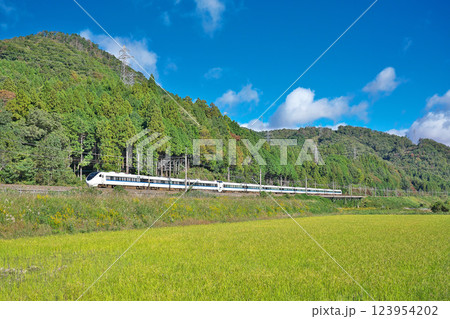 【湖西線を走るサンダーバード 681系】 撮影場所：滋賀県高島市マキノ町海津 123954202