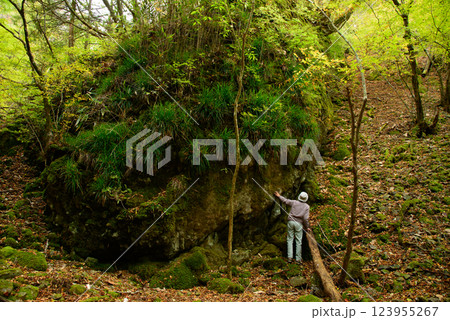 【静岡県】天城・氷室園地の「なまこ岩」を見る人 123955267