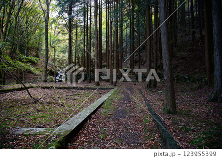 【静岡県】天城・氷室園地の氷室跡地 123955399