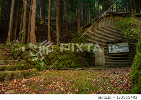 【静岡県】天城・氷室園地の氷室跡地 123955402