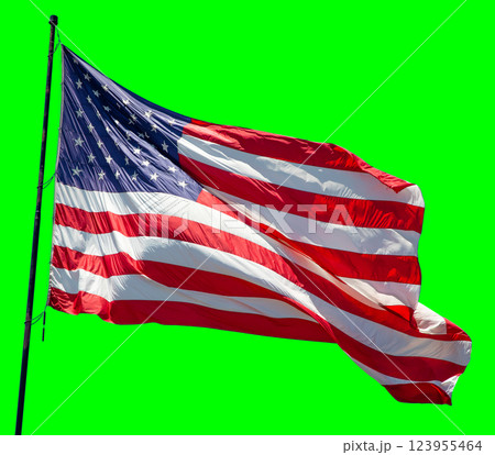 American Flag Waving In The Wind on a Flag Pole Over a Green Screen. American Flag Waving In The Wind on a Flag Pole Over a Green Screen. 123955464