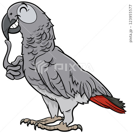 grey parrot bird animal character cartoon illustration 123955577