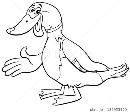 cartoon wild duck bird animal character waving its wing coloring page 123955590