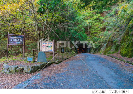 【静岡県】旧天城トンネル　河津側 123955670