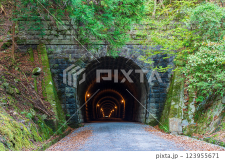 【静岡県】旧天城トンネル　河津側 123955671