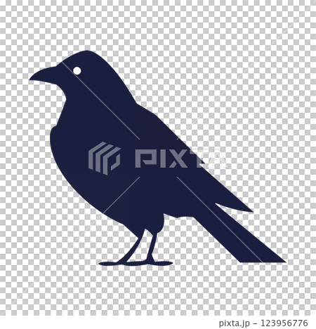 黑烏鴉圖 123956776