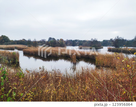 Lakes stretch across the landscape, framed by walking paths and vibrant autumn trees. The calm water reflects the overcast sky, creating a peaceful atmosphere for visitors enjoying nature. Lakes stretch across the landscape, framed by walking paths and vibrant autumn trees. The calm water reflects the overcast sky, creating a peaceful atmosphere for visitors enjoying nature. 123956864