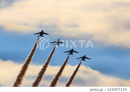 この技術が日本の空を護る… 美しい編隊飛行を魅せるブルーインパルス 123957134