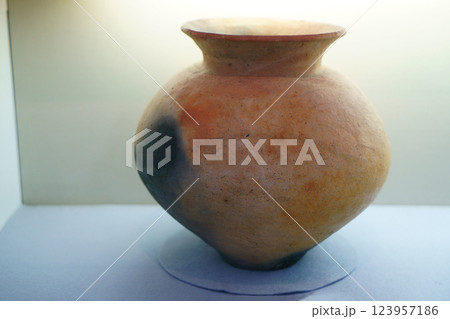 7681　弥生式土器壺 123957186