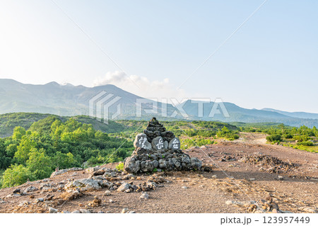 北海道美瑛町　夏の北海道　雄大な十勝岳を望む望岳台 123957449