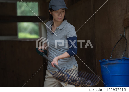 involved with horses 123957616