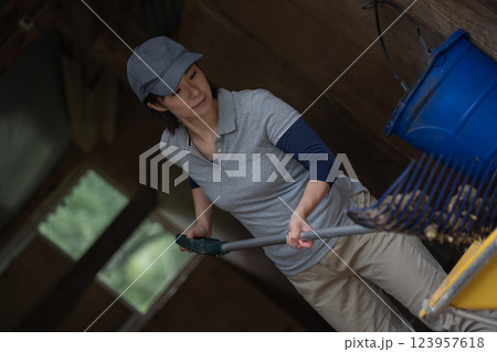 involved with horses involved with horses 123957618