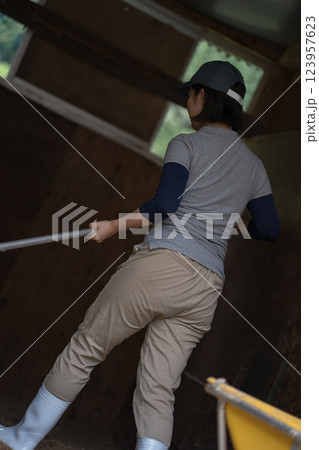 involved with horses involved with horses 123957623