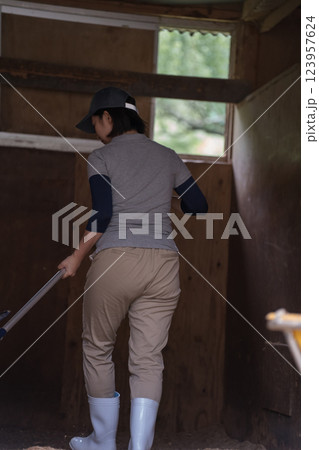 involved with horses 123957624