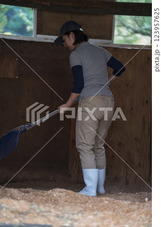 involved with horses involved with horses 123957625