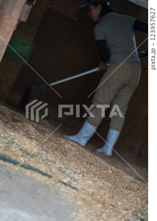 involved with horses 123957627