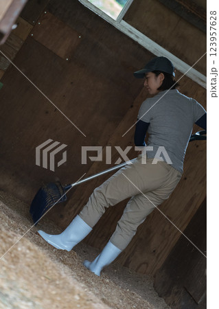 involved with horses involved with horses 123957628