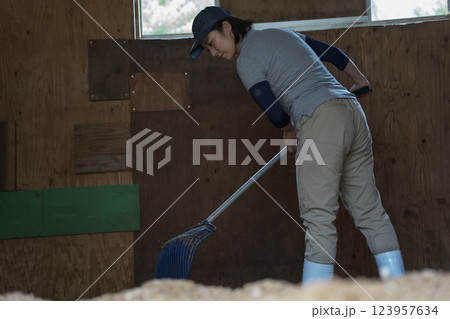 involved with horses involved with horses 123957634