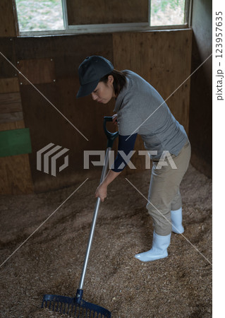 involved with horses involved with horses 123957635