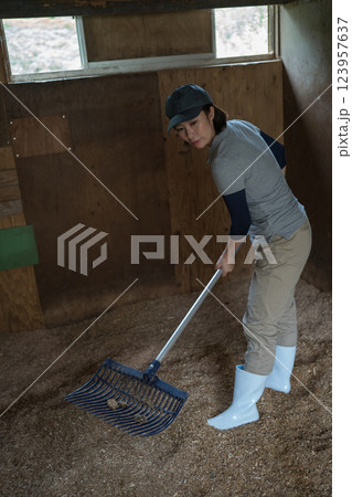 involved with horses involved with horses 123957637