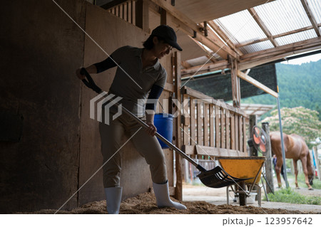 involved with horses involved with horses 123957642
