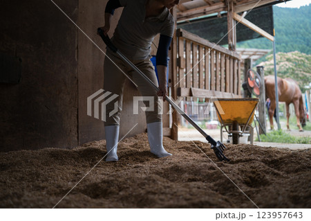 involved with horses involved with horses 123957643