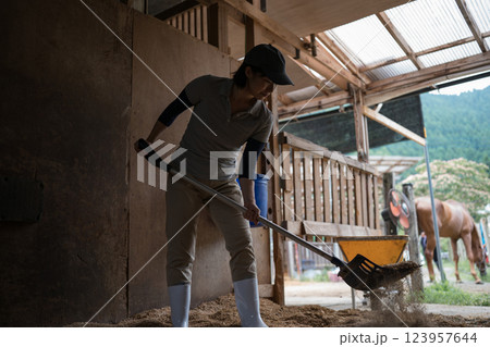 involved with horses involved with horses 123957644