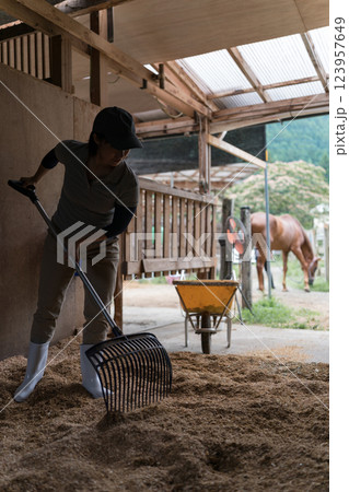 involved with horses involved with horses 123957649