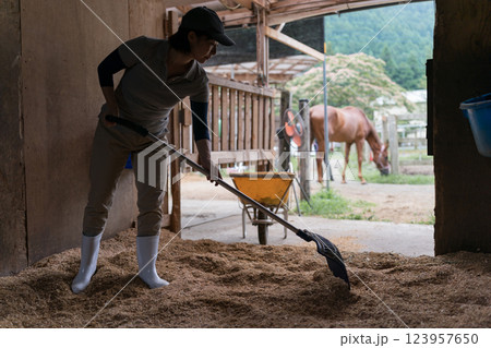 involved with horses 123957650