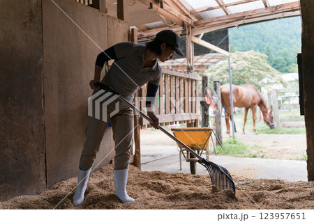 involved with horses 123957651