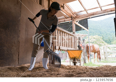 involved with horses involved with horses 123957656