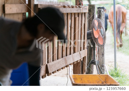 involved with horses involved with horses 123957660