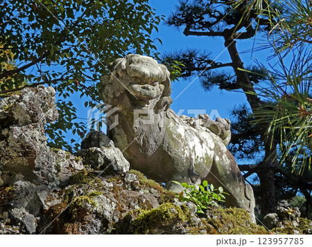 岩国市の吉香公園の中にある桔梗神社の迫力ある狛犬の写真 岩国市の吉香公園の中にある桔梗神社の迫力ある狛犬の写真 123957785