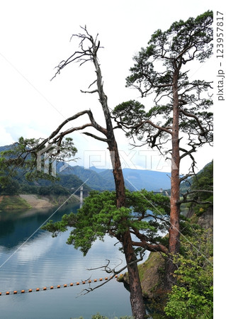 八ッ場ダム　八ッ場あがつま湖 123957817
